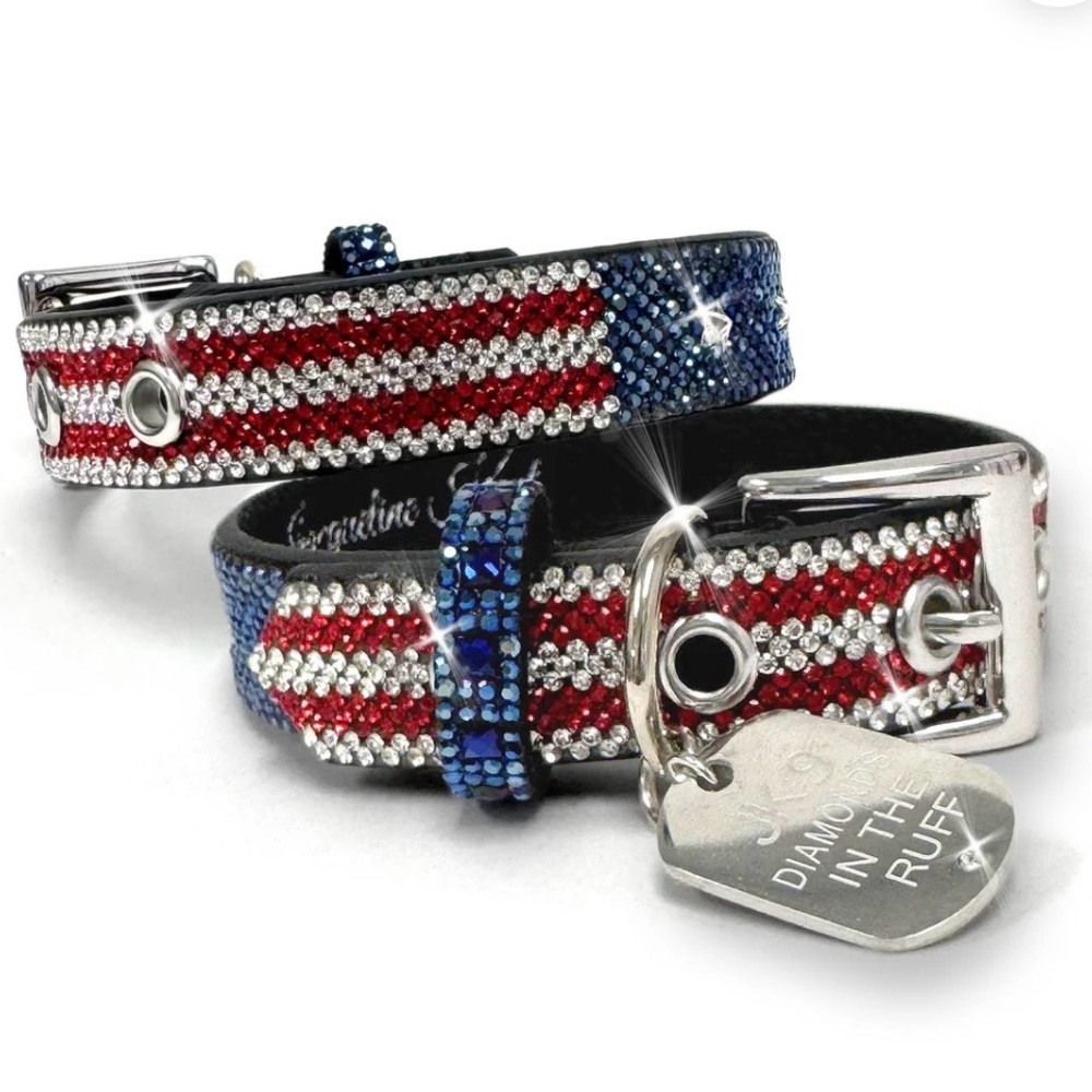 DESIGNER-DIAMONDS IN THE RUFF AMERICAN
DOG COLLAR AND LEASH SMALL